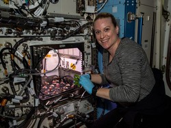 Astronaut Panen Lobak Rasa Luar Angkasa