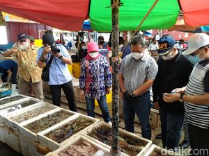 Saat Trenggono Tanya-tanya Nelayan Muara Angke soal Lobster Saat Trenggono Tanya-tanya Nelayan Muara Angke soal Lobster