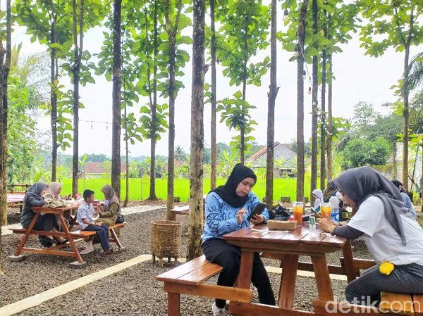 Bersantai Sambil Ngopi Seru di Tengah Kebun Jati Hits di Ciamis