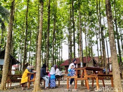 Ngopi Cantik di Kebun Jati di Ciamis Ini Sedang Hits