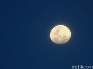 Nekat Langgar Jam Malam, Pelajar Pontianak Bisa Masuk Tempat Rehabilitasi