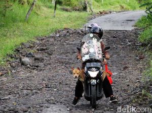 Daya Pikat Merapi dan Anjing Kesayangan