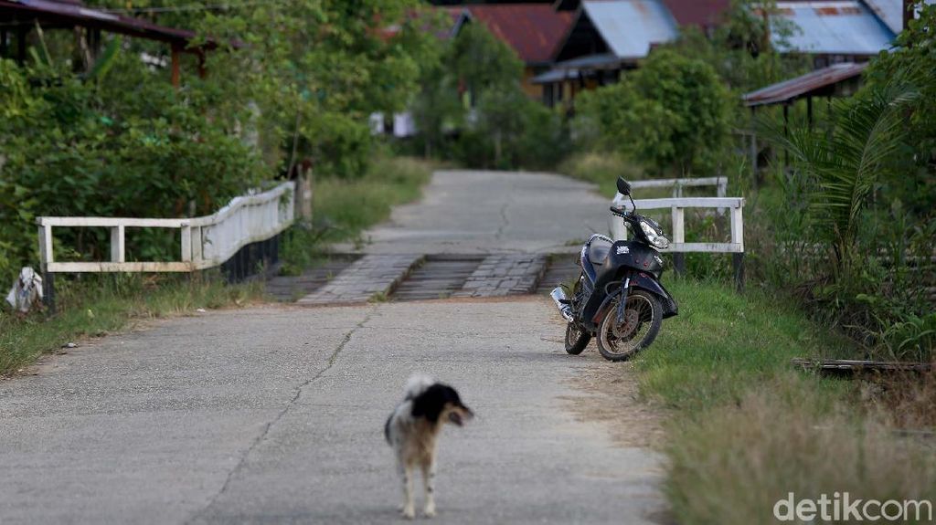 Foto: Cerita Unik Perbatasan, Motor Ditinggal Pinggir Jalan Tetap Aman