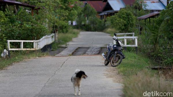 Foto: Cerita Unik Perbatasan, Motor Ditinggal Pinggir Jalan Tetap Aman