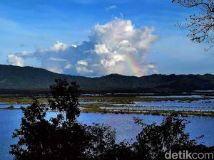 Menikmati Sore di Danau Sentarum