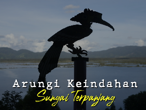 Nikmatnya Perjalanan Menyusuri Sungai Kapuas Menuju Danau Sentarum
