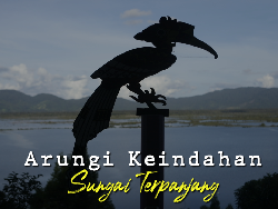 Nikmatnya Perjalanan Menyusuri Sungai Kapuas Menuju Danau Sentarum