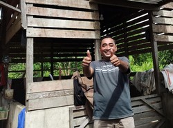 Kapok Menambang Emas Ilegal, Transmigran Ini Malah Jadi Juragan Ayam