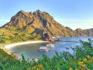 Tak Hanya Lihat Komodo, Ini 5 Objek Wisata Keren di Taman Nasional Komodo Tak Hanya Lihat Komodo, Ini 5 Objek Wisata Keren di Taman Nasional Komodo