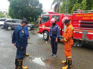 Merinding! Belasan Anak Piton Muncul di Rumah Warga Usai Hujan