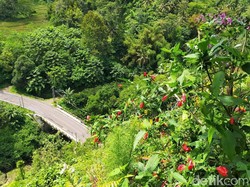 5 Cerita Mitos yang Tersohor di Ciamis