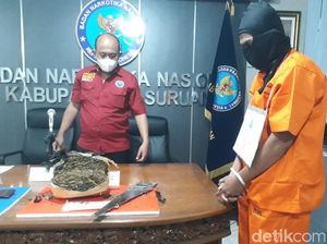 Nganggur Dampak COVID-19, Mantan Atlet Voli Pasuruan Jadi Kurir Ganja