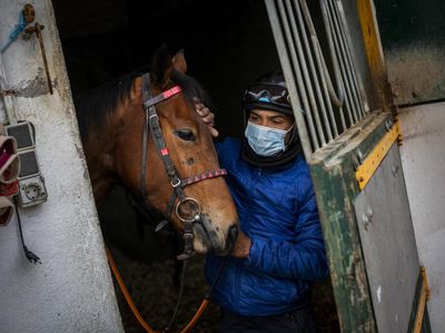 Pacuan Kuda di Spanyol Tetap Bertahan di Tengah Pandemi