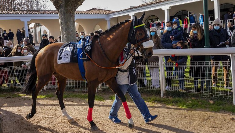 Dengan cara ini, industri pacuan kuda Spanyol telah berhasil bertahan meskipun tahun 2020 terbukti membawa bencana bagi perekonomian negara secara umum.  