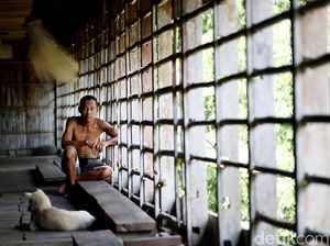 Potret Kehidupan Suku Dayak Taman di Rumah Betang Semangkok Potret Kehidupan Suku Dayak Taman di Rumah Betang Semangkok