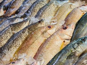 Covid-19 Mewabah di Pasar, Thailand Bikin Sertifikasi Produk Seafood