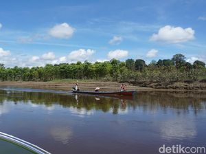 Mengenal Sungai Kapuas yang Jadi Sungai Terpanjang di Indonesia