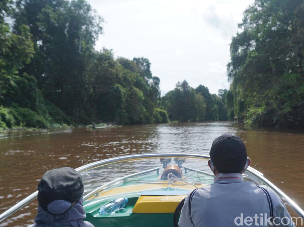 3 Sungai Terpanjang di Indonesia, Benarkah Semuanya Ada di Kalimantan?