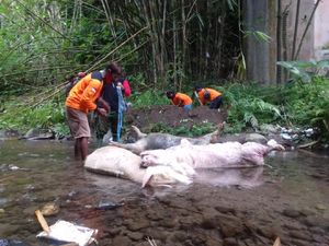 Pembuang 3 Bangkai Babi Jumbo di Sungai Klaten Divonis Denda Rp 3 Juta Pembuang 3 Bangkai Babi Jumbo di Sungai Klaten Divonis Denda Rp 3 Juta