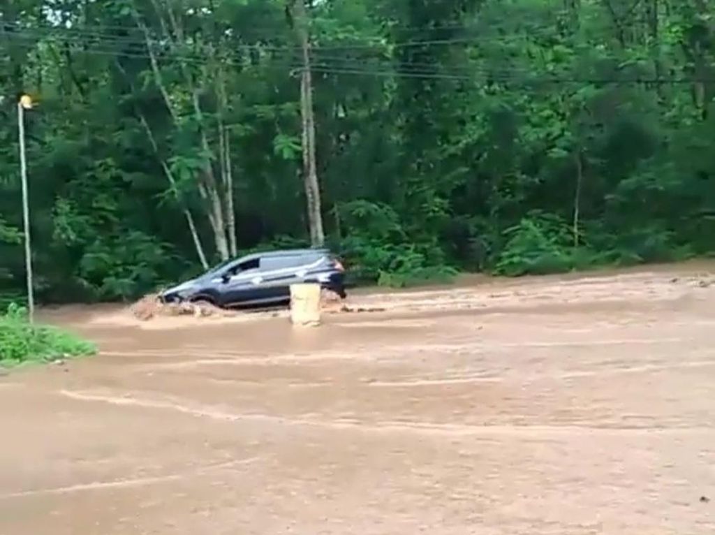 Drainase Tak Mampu Menampung, Air Hujan Luber ke Jalan di Hutan Baluran Drainase Tak Mampu Menampung, Air Hujan Luber ke Jalan di Hutan Baluran