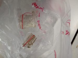 Pengantar Tumis Cumi Isi Sabu ke Lapas Sukabumi Istri Terpidana