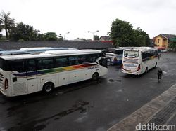 Harga Tiket Bus Jakarta-Yogyakarta, 15 Hari Jelang Larangan Mudik