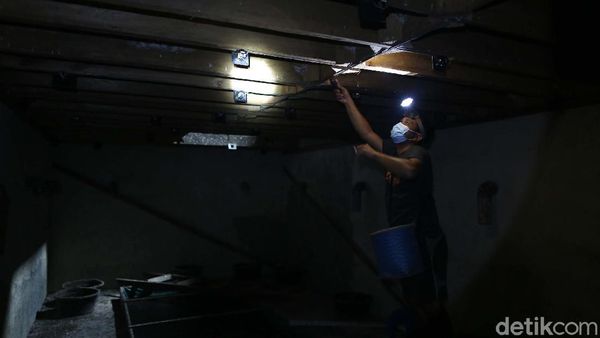 Bisnis Sarang Burung Walet Janjikan Untung Segunung