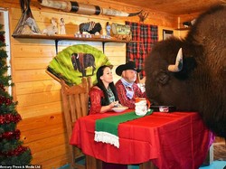 Gokil! Pasangan Ini Hidup dan Makan Bareng Banteng Raksasa di Dalam Rumah