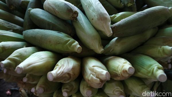Pandemi COVID-19 Berdampak ke Pedagang Jagung