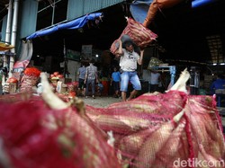 Harga Jual Jagung di Petani Anjlok, Apa Solusi Kemendag?