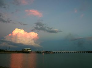 Kru Kapal Ternak dari Indonesia Ada yang Positif COVID-19, Kini Dikarantina