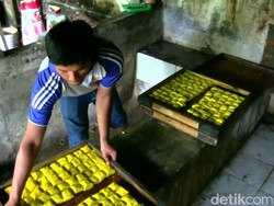 Harga Kedelai Menggila, Perajin Tahu di Purwakarta Terancam Gulung Tikar