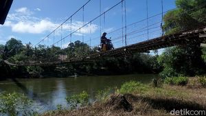 Sensasi Nyebrang di Jembatan Gantung Menuju Rumah Betang