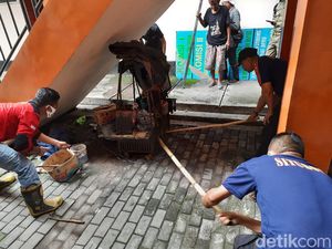 Ada Ular Kobra di Kantor DPRD Situbondo, Pemburuan Masih Dilakukan