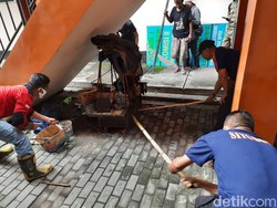Ada Ular Kobra di Kantor DPRD Situbondo, Pemburuan Masih Dilakukan