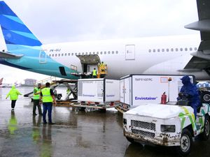 3 Juta Dosis Vaksin Sinovac Sudah di RI, Kapan Mulai Vaksinasi?