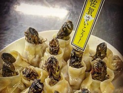 Dumpling Ikan Alien, Kuliner Eksotis yang Tampilannya Bikin Ngeri!