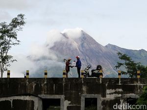 Akhir Tahun, Jasa Pengiriman Logistik Geber hingga ke Pelosok