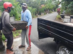 Batu Diduga Bagian Candi Sewu di Pinggir Jalan Klaten Dievakuasi Batu Diduga Bagian Candi Sewu di Pinggir Jalan Klaten Dievakuasi