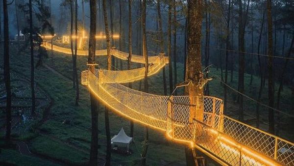 Gemerlap Jembatan Gantung Hiasi Hutan Anggrek Cikole