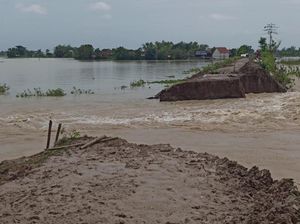 Tanggul Limpasan Demak Jebol, Sawah-Permukiman Kebanjiran Tanggul Limpasan Demak Jebol, Sawah-Permukiman Kebanjiran