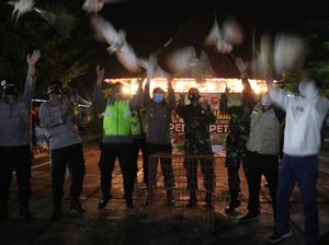 Malam Tahun Baru di Ngawi Diisi dengan Lepas Burung Hantu Pembasmi Tikus