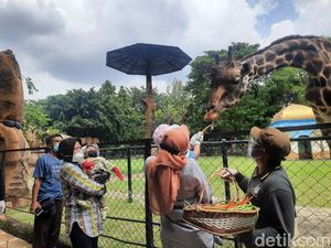 Mensos Risma Ajak Cucu Jalan-jalan ke KBS di Libur Tahun Baru