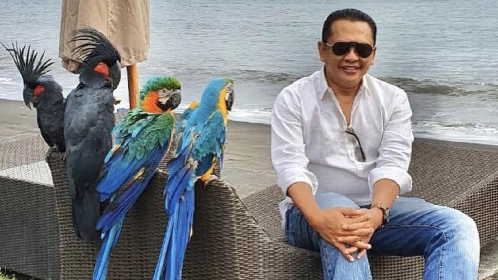 Deretan Anak Muda Ini Masuk Kepengurusan IMI Besutan Bamsoet Deretan Anak Muda Ini Masuk Kepengurusan IMI Besutan Bamsoet