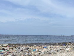 Teluk Jakarta Dilaporkan Ketambahan Sampah Medis, Begini Kondisi Terkini