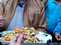 Cabe Rawit hingga Daging Ayam Diberi Bahan Pewarna Berbahaya