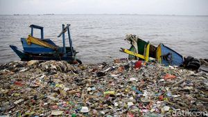 Volume Sampah di Teluk Jakarta Kian Meningkat