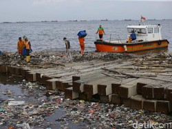 Buntut Paracetamol, KLHK Bentuk Tim Selidiki Pencemaran di Jakarta