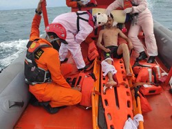 Batu Tebing Jatuh Gegara Monyet Berkelahi, Mahasiswa di Aceh Terluka