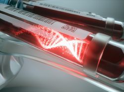 Ilmuwan Temukan Lagi Virus Corona Baru di Brasil, Terdeteksi pada Hewan Ini